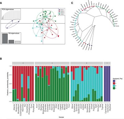 Development of a Novel Phenotypic Roadmap to Improve Blueberry Quality and Storability